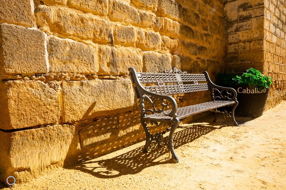 Portfolio Image