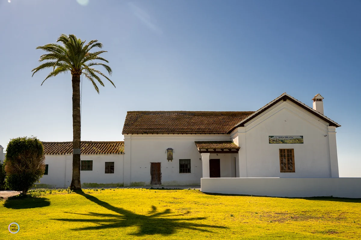 Portfolio Image