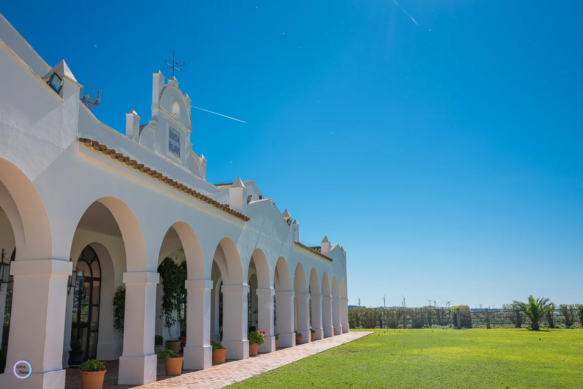 Portfolio Image
