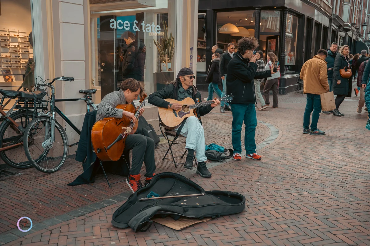 Portfolio Image